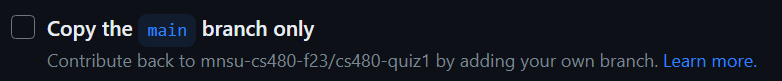 Image showing checkbox labeled "Copy the main branch only" which is unchecked